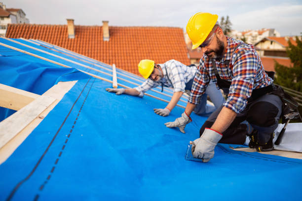 Best Roof Maintenance Services  in Dollar Bay, MI